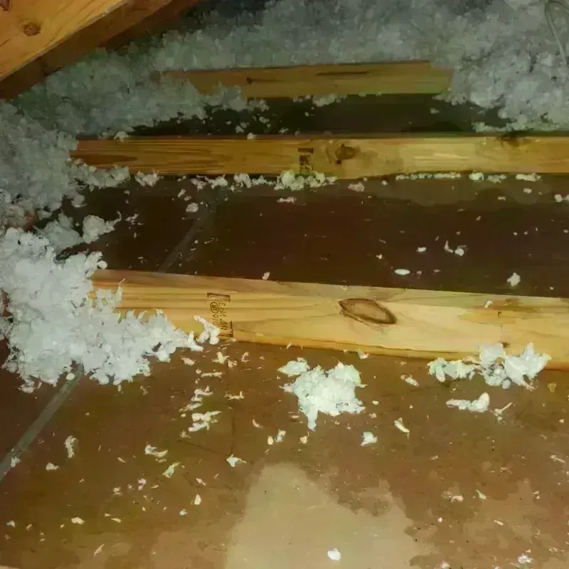 Attic Water Damage in Oxford, ME